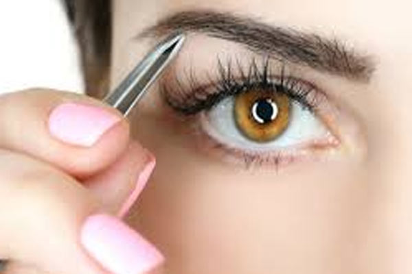 Eyebrow