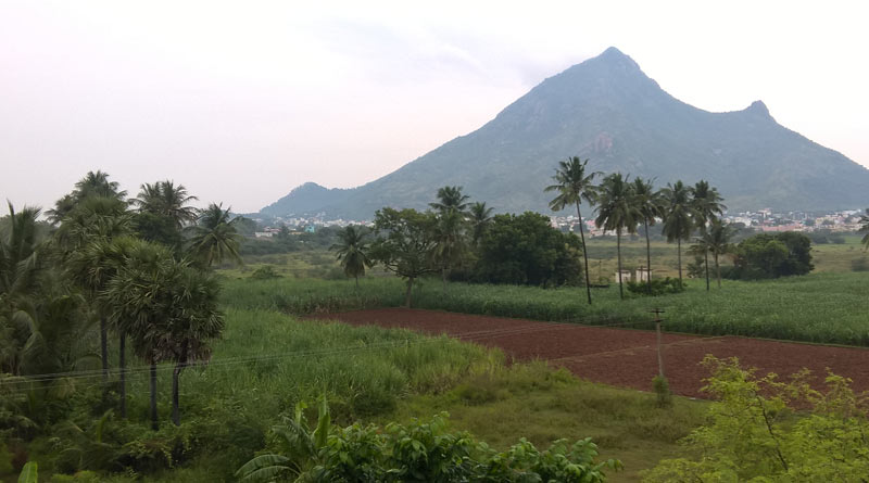 Tamil Nadu police rescue stranded couple from Tiruvannamalai hill