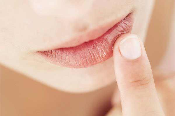 Lip