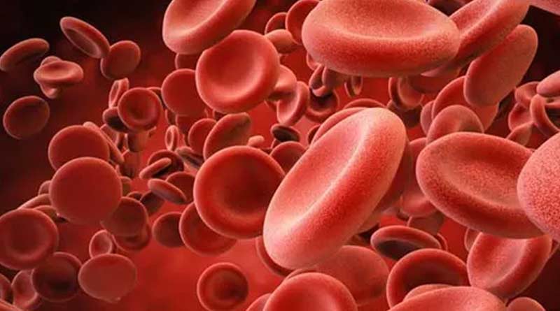 Plasma Therapy trial is being stopped in Kolkata due to lack of donators