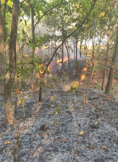 Purulia-forest-2