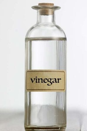 Vinegar