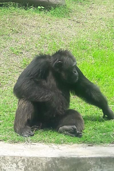 Zoo