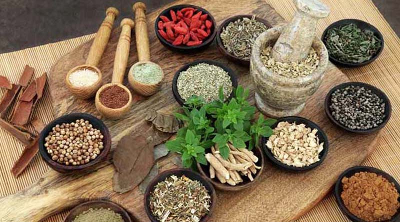 Corona Crisis: Kolkata high court approved Ayurveda as immunity booster