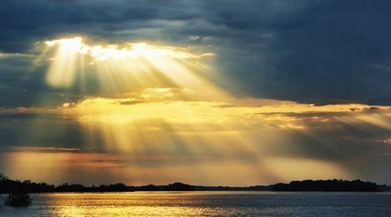 Sunlight destroys Corona virus quickly, say some US scientists
