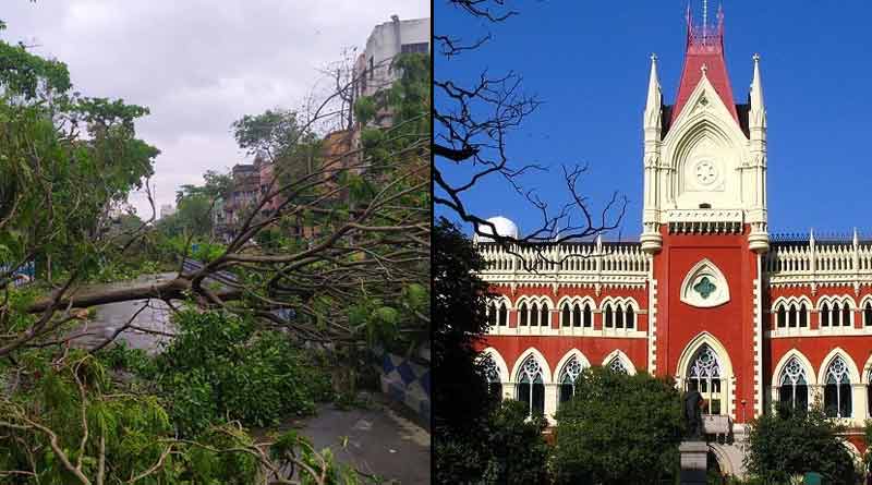 Calcutta HC blow to Mamata Banerjee Govt in Amphan fund irregularities case| Sangbad Pratidin