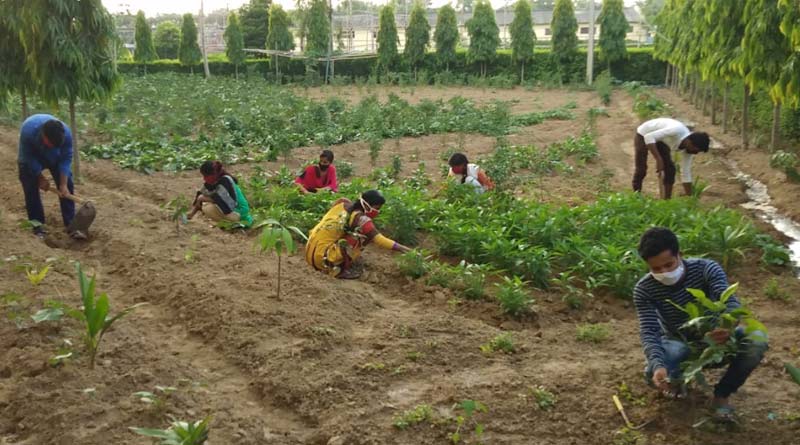 Plantation can fight with Corona virus, students of polytechnic college spread this messege