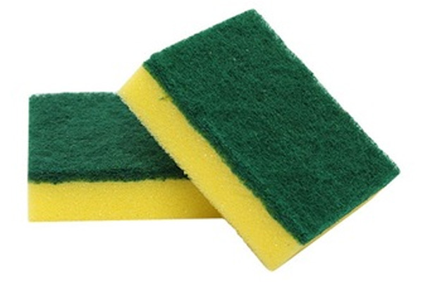 Sponge