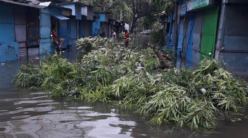 Book publishers from College street ask for help from CM after Amphan