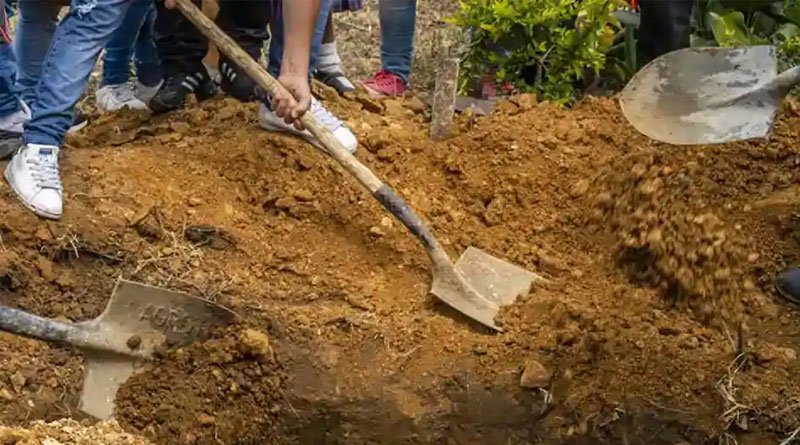 Woman buried by her son saved after 3 days in grave in China, say police