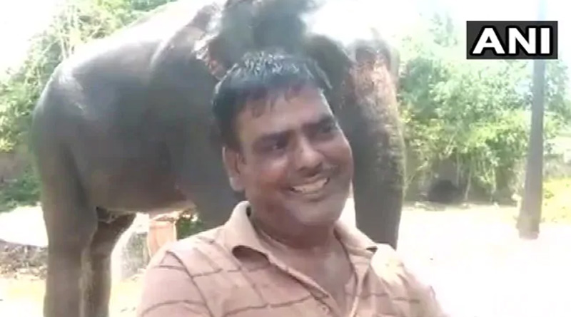 2 elephants being Crorpati in Bihar, let`s know how its possible