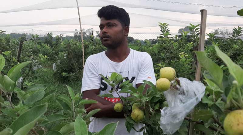 Nadia's youth cultivates Israel's apple in his own garden