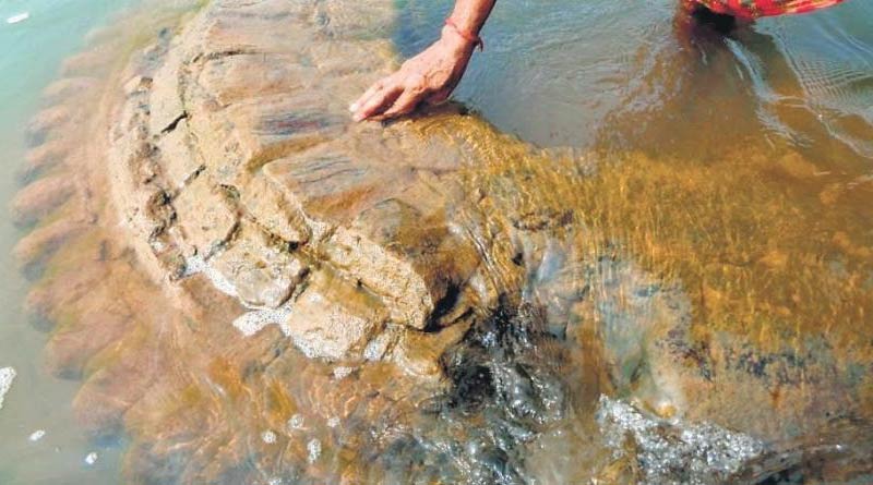 Historical temple found under Mahnadi at Cuttock in Odsha