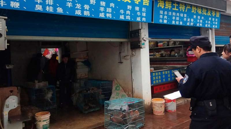 Wildlife-Market