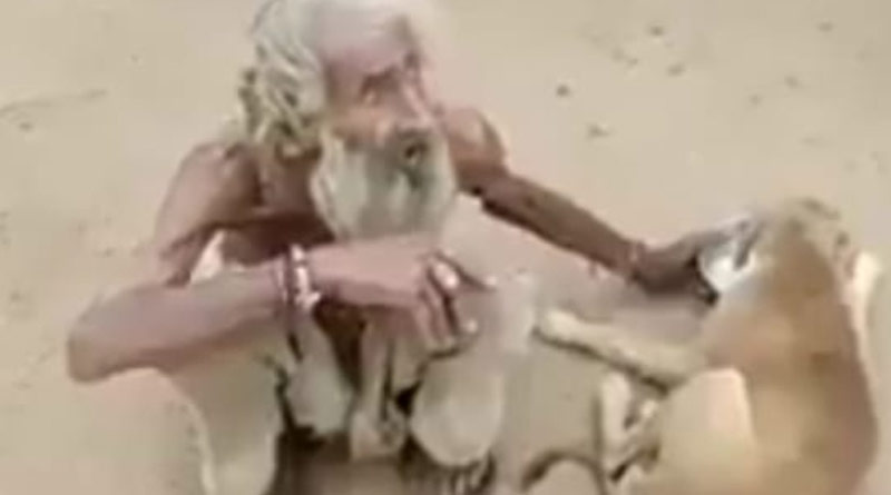 Old begger feeds street dogs from his plate, video goes viral