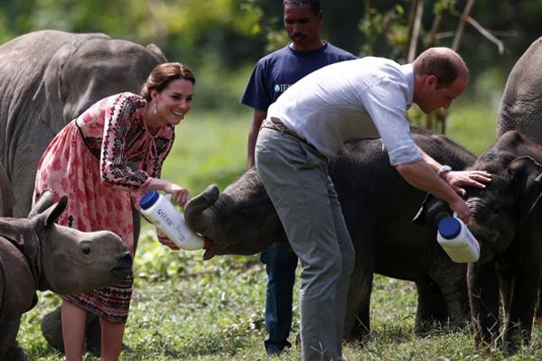 Kate-William-Kaziranga