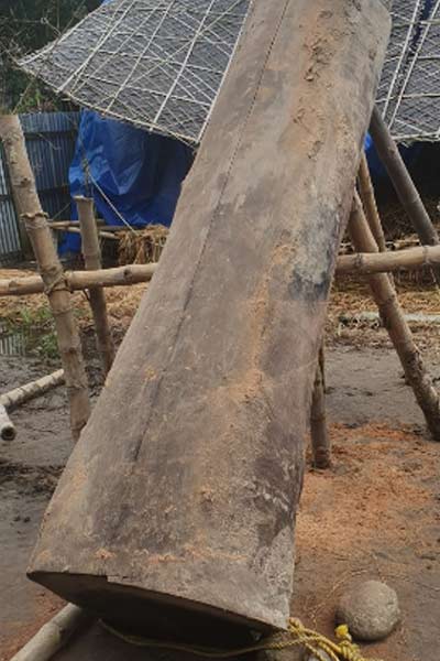 Log
