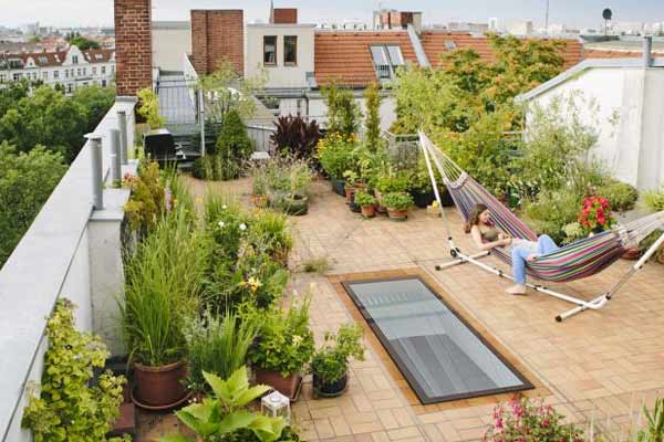 Rooftop Garden