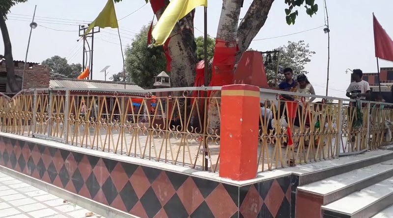Hindu saint found hanging from tree in temple premises