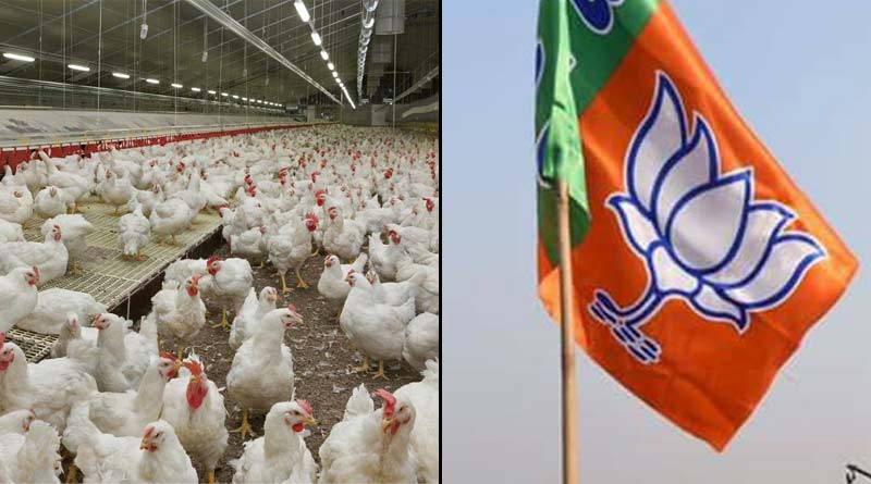 BJP leader accused of corruption in maldah's bamongola