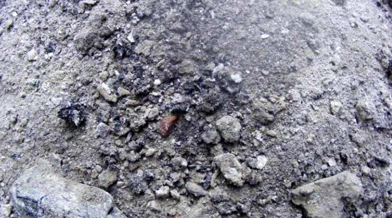 Bangladesh earns foreign money by exporting activated charcoal