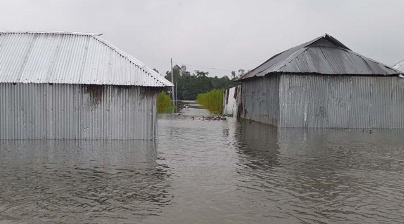 Man made climate change may invite catastrophe | Sangbad Pratidin