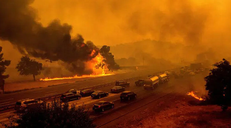 California Wildfire: Governor asks help from Australia