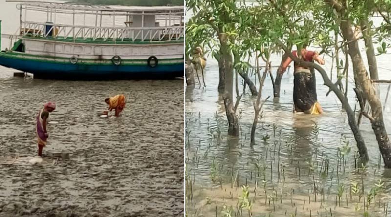 Women of Sundarbans Suffering from Gynecology problems