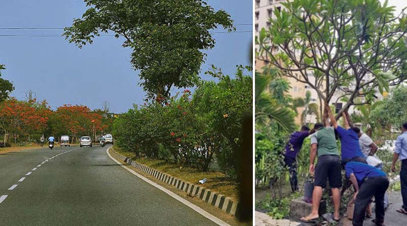 Environment News: Hospital for caring trees at Burdwan on Poila Baishakhi | Sangbad Pratidin