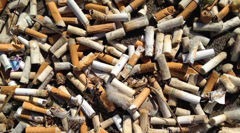 This Company Recycles Cigarette Butts To Make Pillows And Key Chains | Sangbad Pratidin