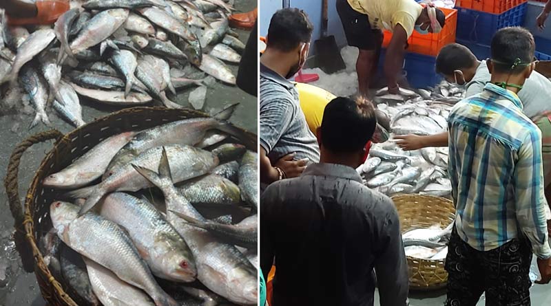 West Bengal Hilsa South 24 pargana, East Midnapore