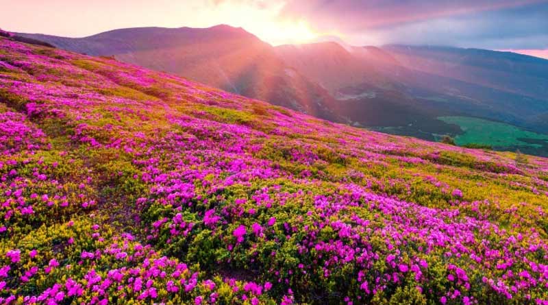 7 Natural Wonders Of India You Need To See At Least Once