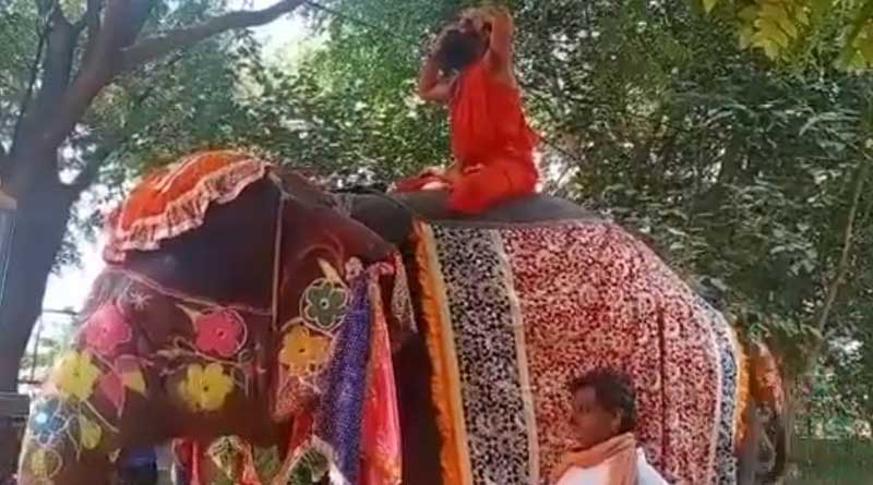 Baba Ramdev falls off elephant while doing yoga, no injuries, video goes viral | Sangbad Pratidin
