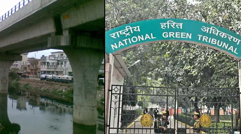 National Green Tribunal orders West Bengal Govt. and KMC to bring back its original environment| Sangbad Pratidin