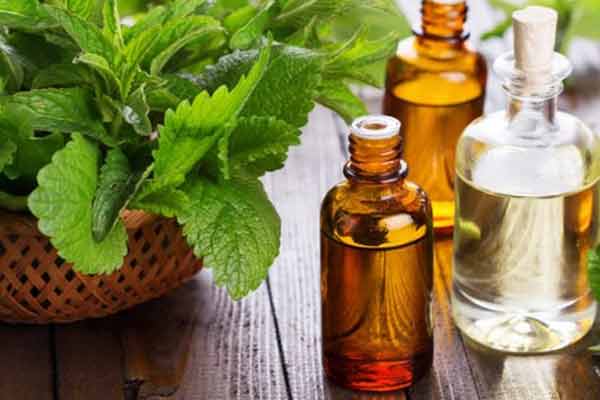 Peppermint Essential Oil