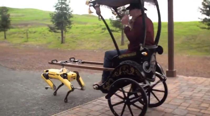 Video of robot pulling a rickshaw goes viral | Sangbad Pratidin