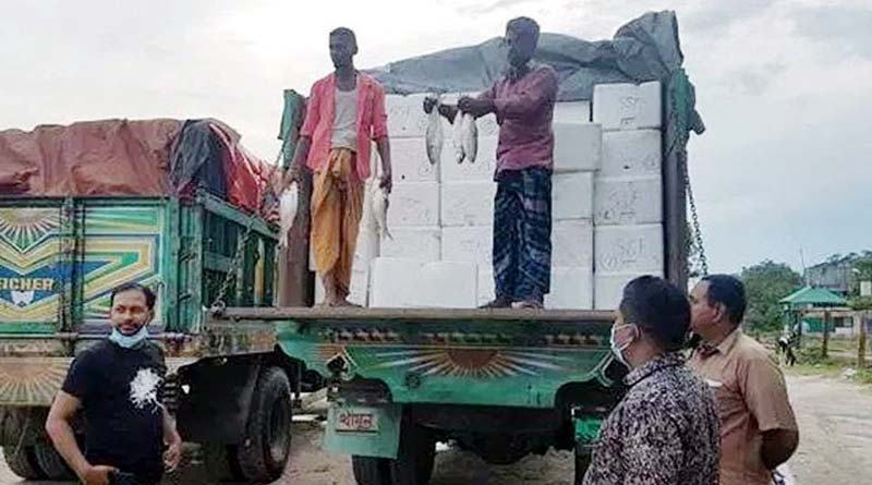 Bengladesh news: Dhaka sends more hilsha to Bengal | Sangbad Pratidin