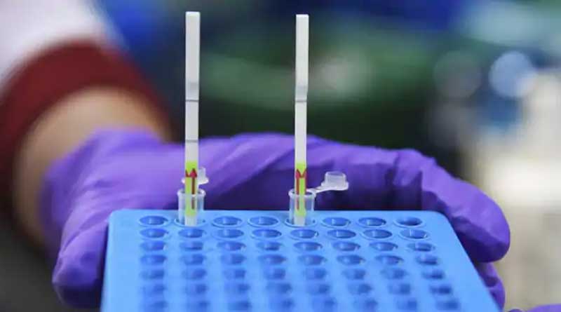 Bengali news: Canada Reports Rare Strain Of Swine Flu Found In A Human | Sangbad Pratidin