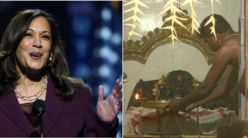 USA election news in Bengali: Special poojas for Kamala Harris' victory performed at Tamilnadu's temple | Sangbad Pratidin