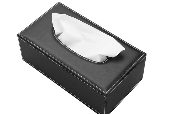 Tissue holder
