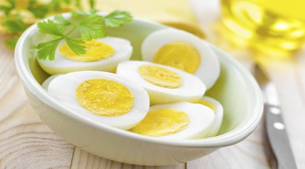 EGG1