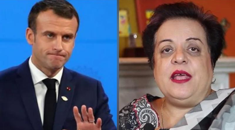 Pakistan minister deletes tweet condemning Macron | Sangbad Pratidin
