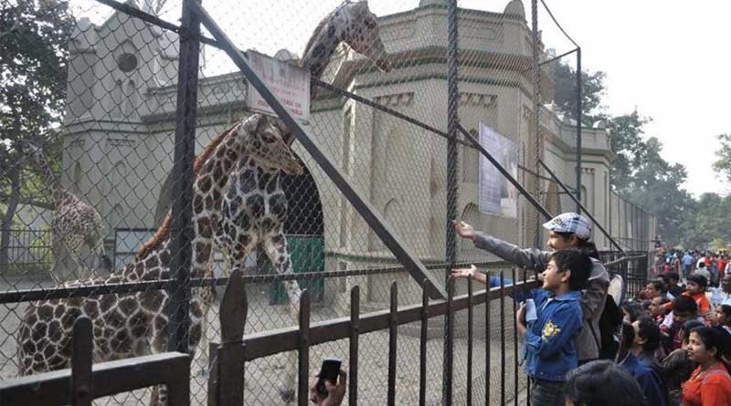 Looks can be deceptive, decent looking woman accused of pickpocketing at Alipore Zoo | Sangbad Pratidin