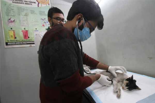 A blood data bank set up for pets in Kolkata