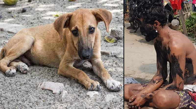 The youth accused of raping dogs beaten up by mob| Sangbad Pratidin
