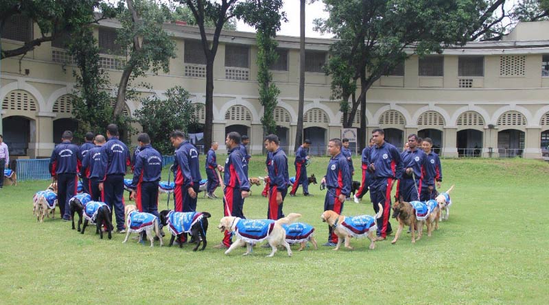Bangla news: Kolkata police will organise dog marriage in dog squad । Sangbad Pratidin