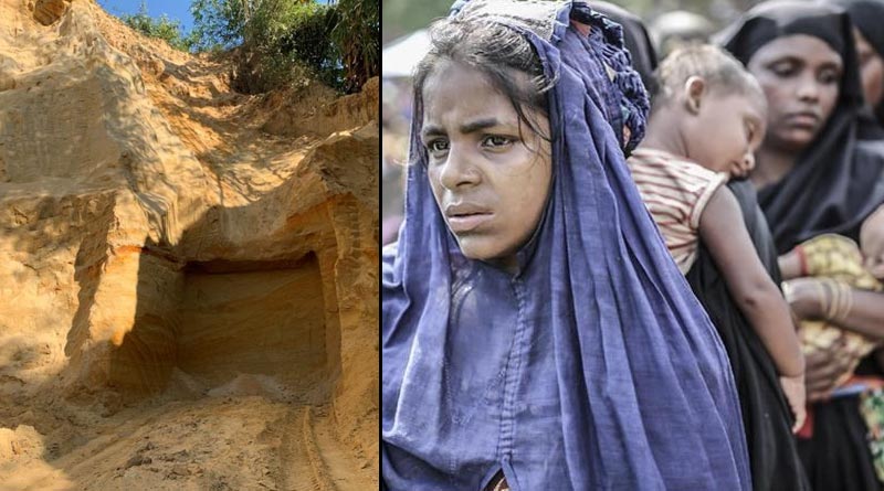 Huge forest areas in Bangladesh destroyed to set up camps for Rohingyas| Sangbad Pratidin