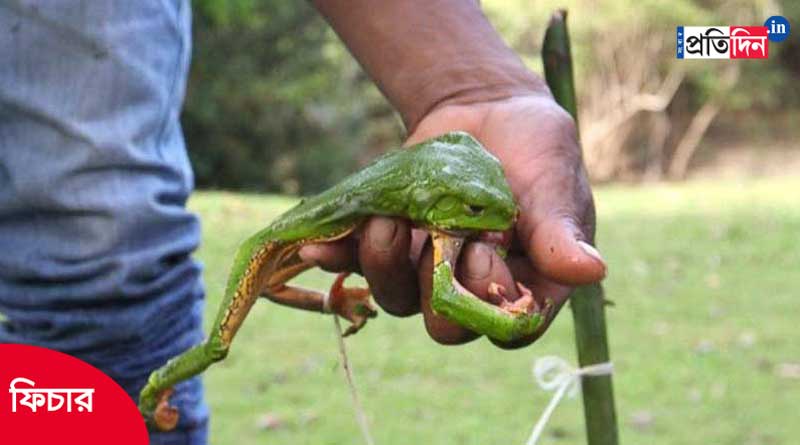 Some weirdest addictions of people around the world | Sangbad Pratidin