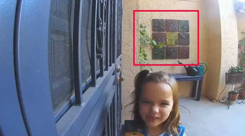 Little girl urges to sell cookies made by herself in unusual manner, video goes viral|SangbadPratidin