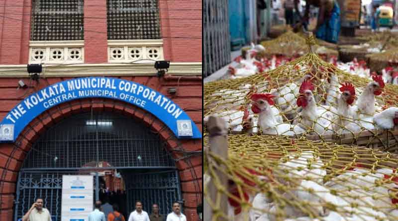 Bird flu is increasing panic in kolkata | Sangbad Pratidin